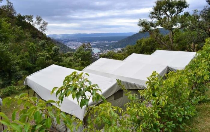 Trees In Rishikesh Best Camps In Rishikesh - FirstTrek Blog | FirstTrek