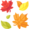 Autumn time
